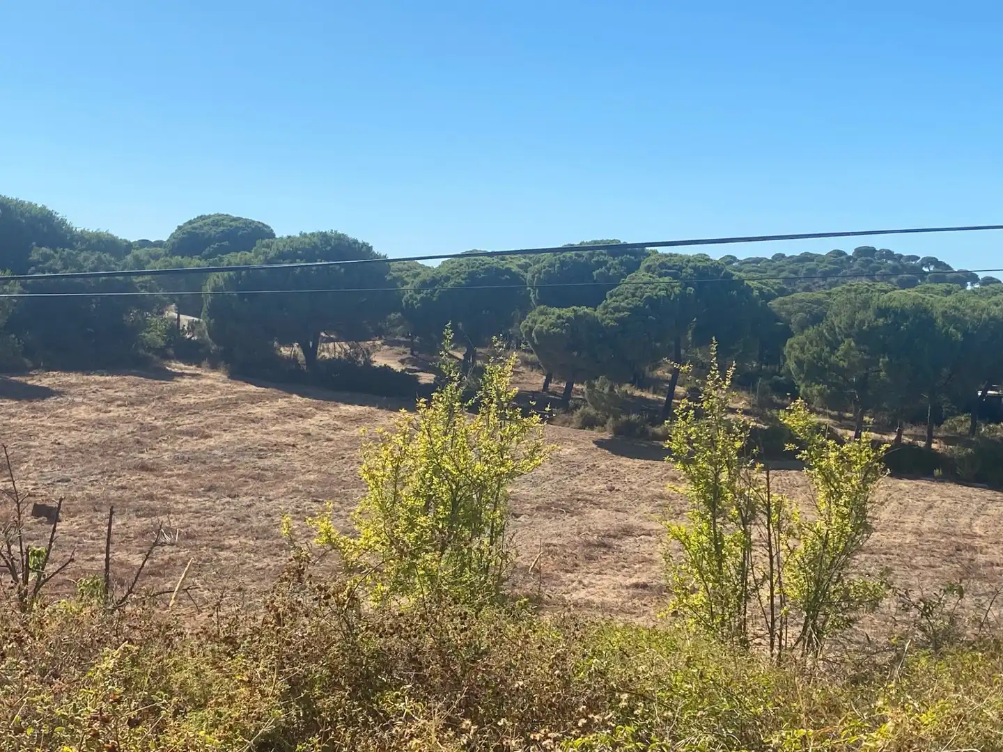 Finca rústica en venta en Aljaraque