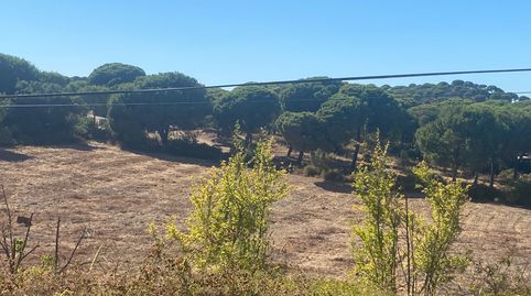 Foto 3 de Finca rústica en venta en Núcleo urbano, Aljaraque