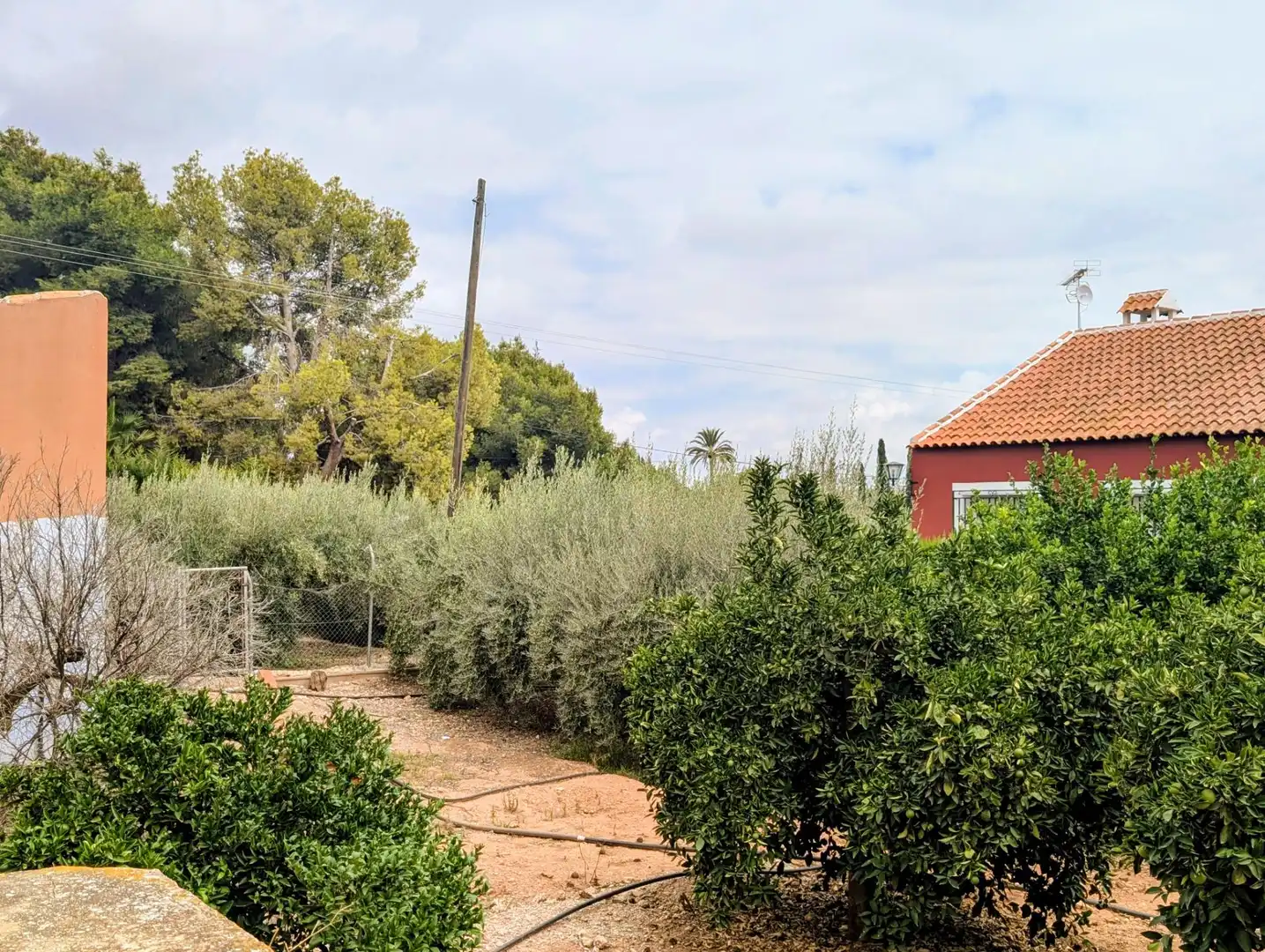Vista exterior de Casa o chalet en venta en Totana con Jardín privado, Terraza y Piscina