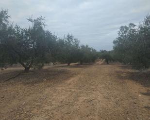 Country house zum verkauf in Riudecanyes