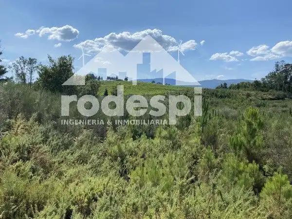 Terreny rústic en venda a Crecente, imagen 3