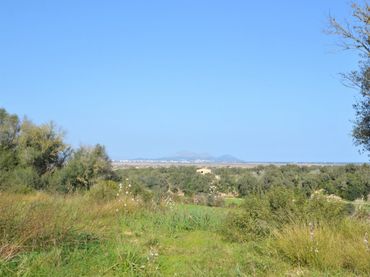 Casa rustica in vendita a Muro
