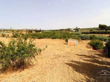 Terreno rustico in vendita a Centro
