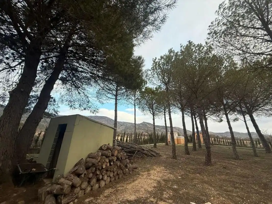 Xalet amb piscina en venda a Salinas, imagen 29