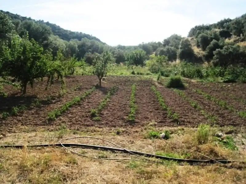 Terreni e lotti in vendita a Navas de San Juan, imagen 8