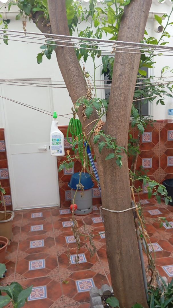 Garden of Flat for sale in Sanlúcar de Barrameda  with Air Conditioner, Heating and Terrace