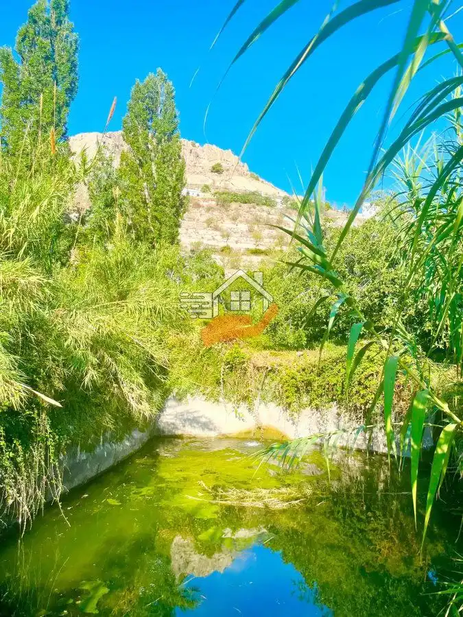 Lands and plots for sale in Vélez-Blanco, imagen 14