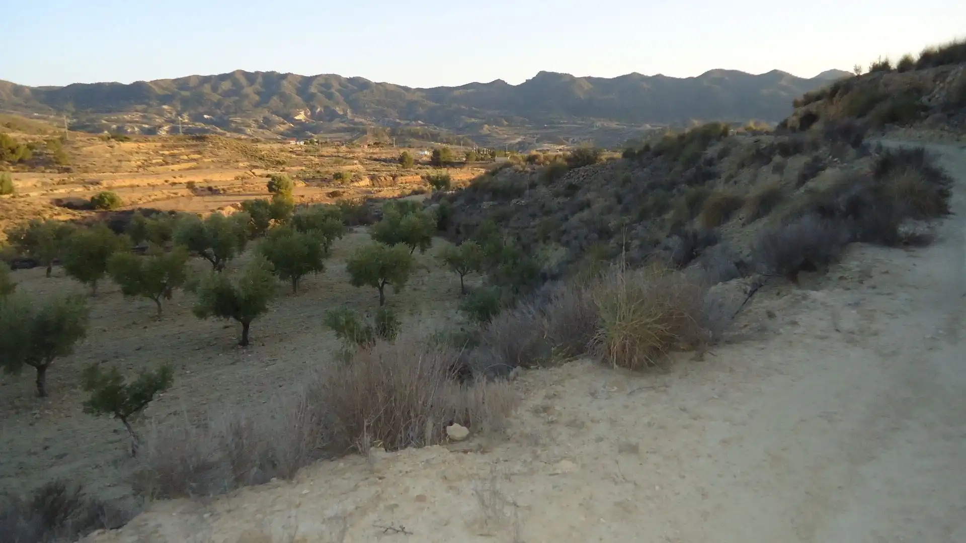 Lands and plots for sale in Abanilla, imagen 11