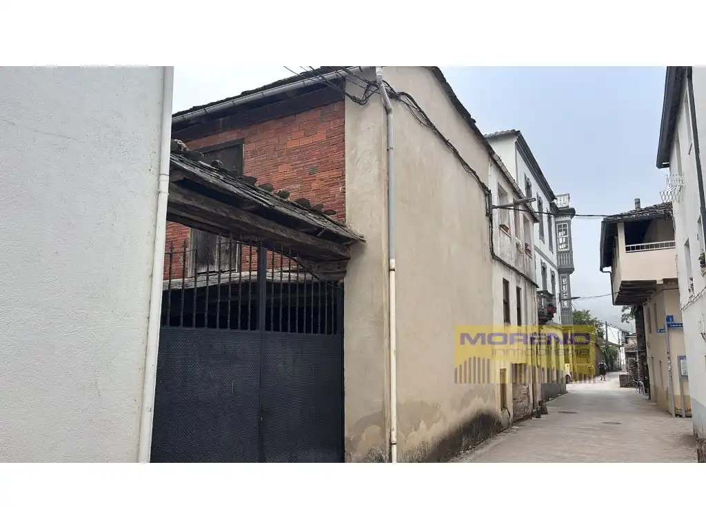 Exterior view of Houses for sale in Triacastela