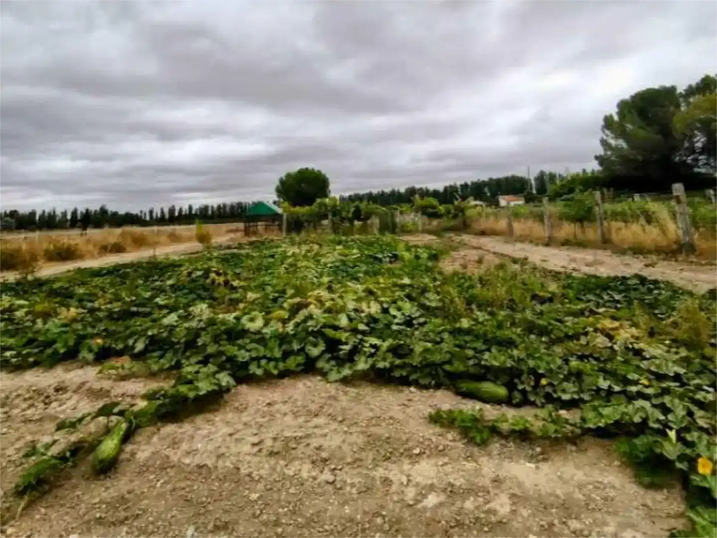Finca rústica en venda en Valladolid Capital amb Aire condicionat, Piscina i Balcó