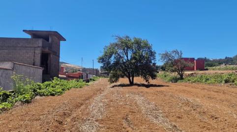 Photo 4 of Land for sale in Calle Carlote, 21, La Esperanza - Llano del Moro, Santa Cruz de Tenerife