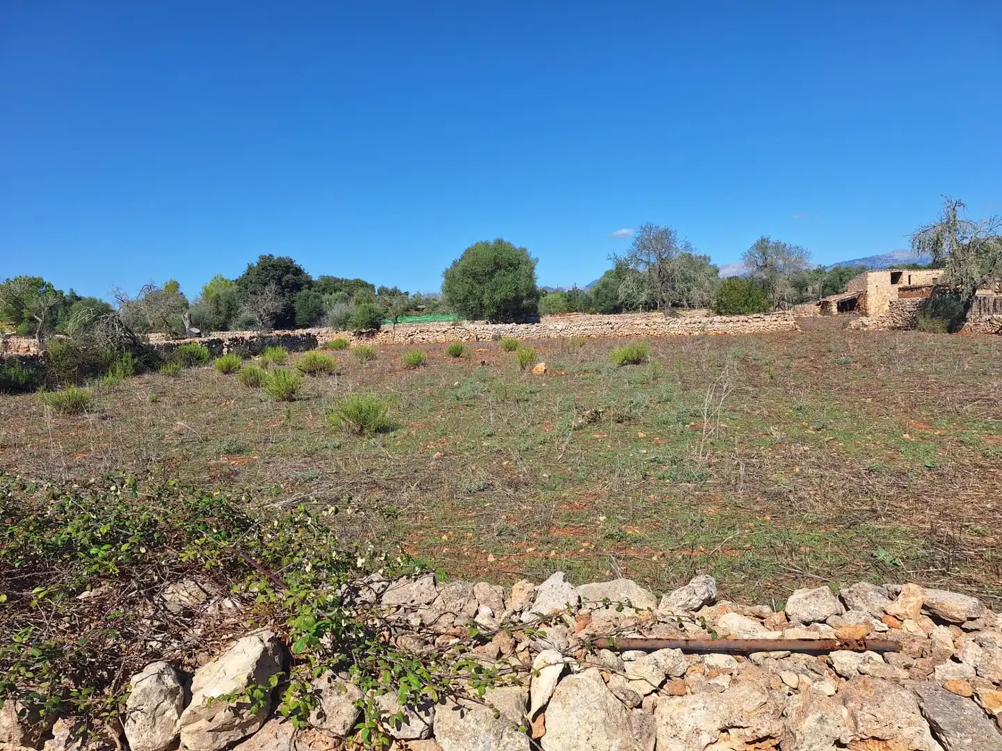 Country homes for sale in Costitx