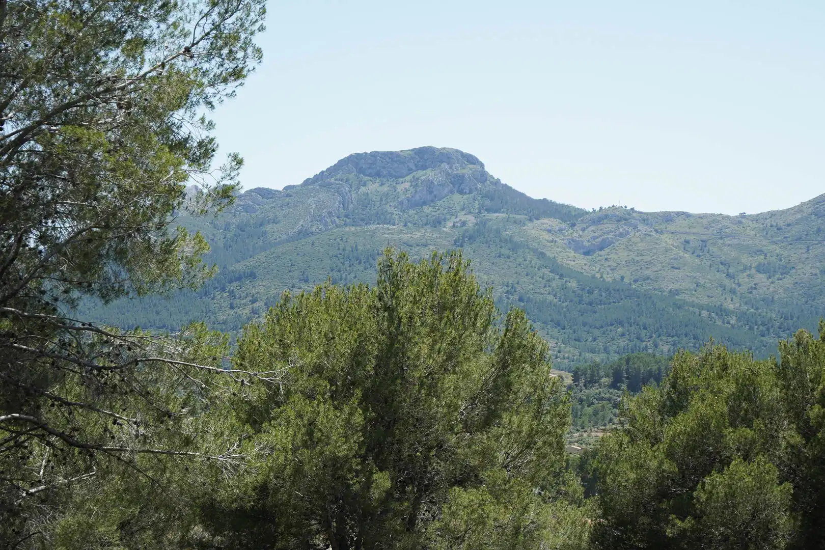 Houses for sale in Alcalalí