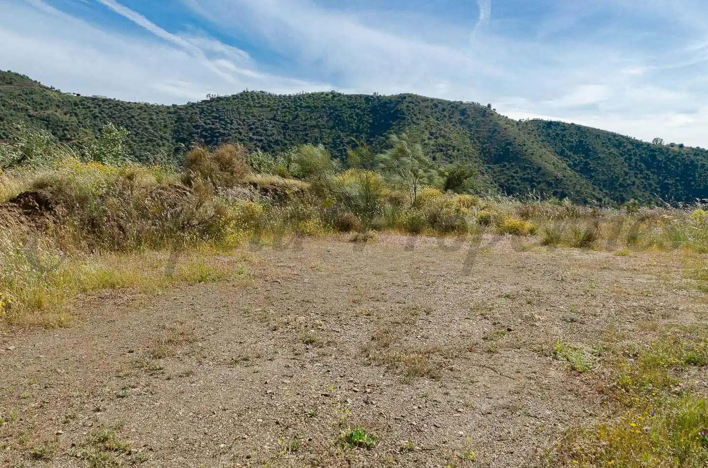 Terreno rústico en venta en Sedella, imagen 5