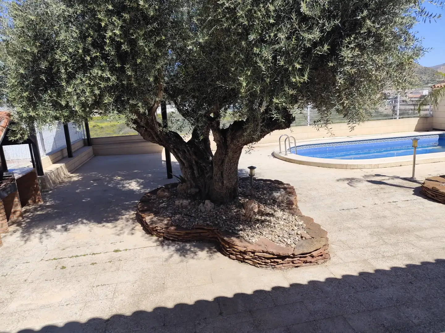 Piscina de Casa o xalet en venda en Murcia amb Terrassa, Traster i Piscina