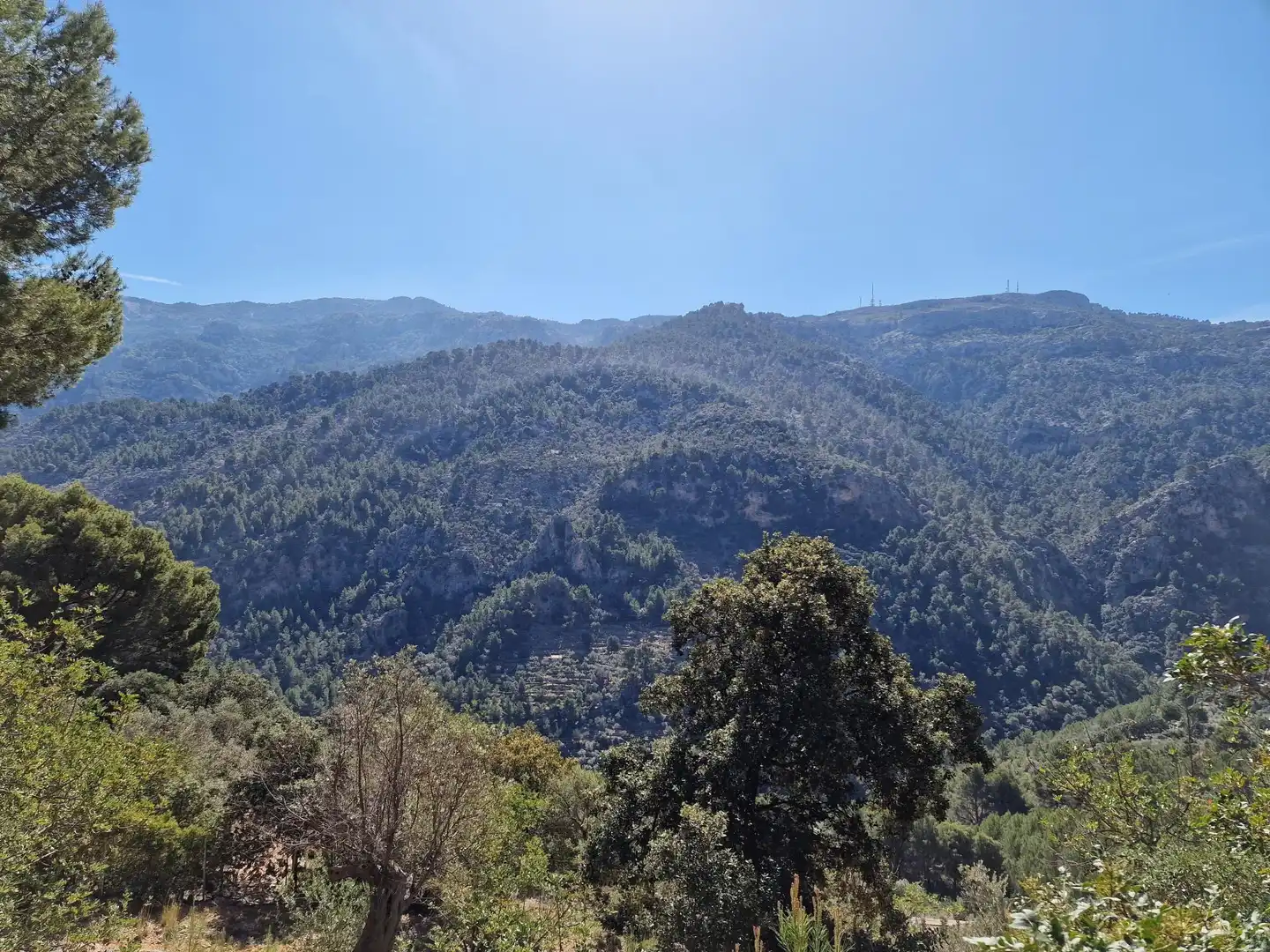 Terreno en venta en Sóller