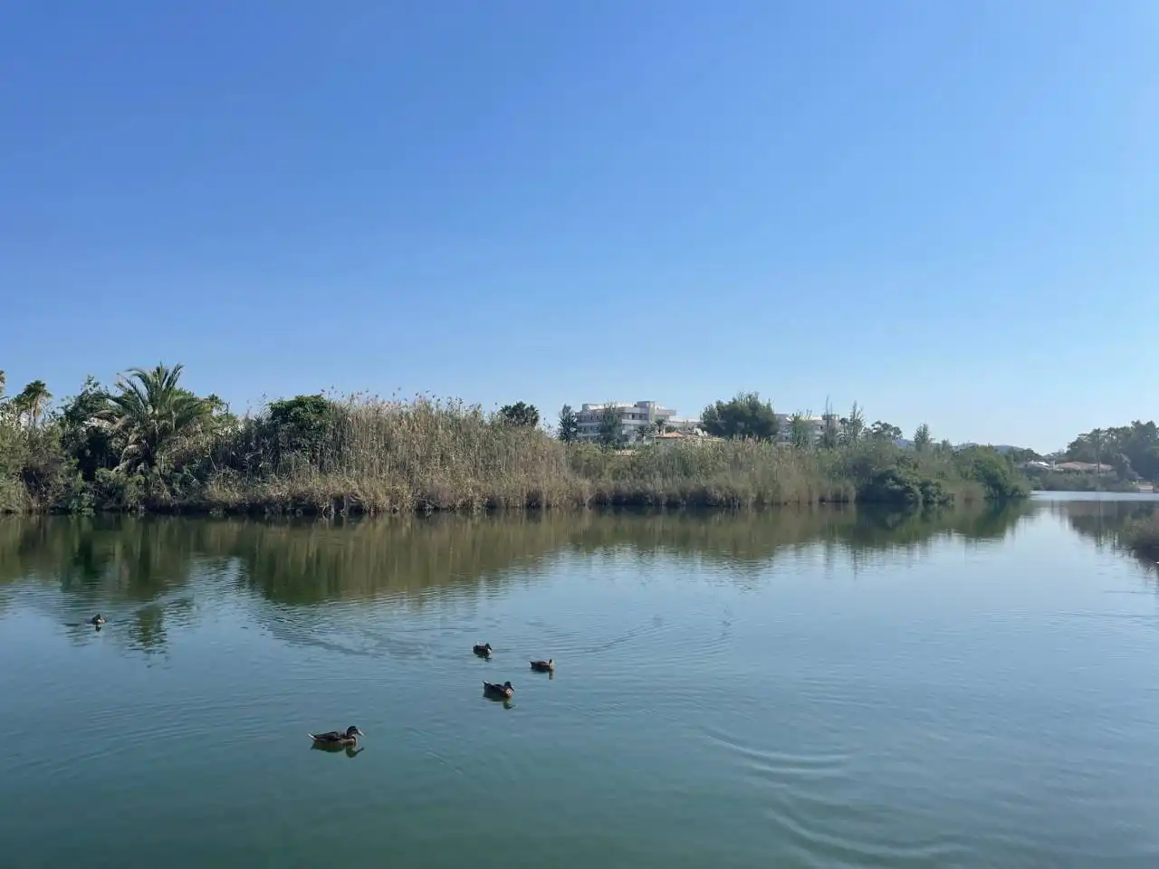 Terreny residencial en venda a Port d'Alcúdia - Platja d'Alcúdia, imagen 5
