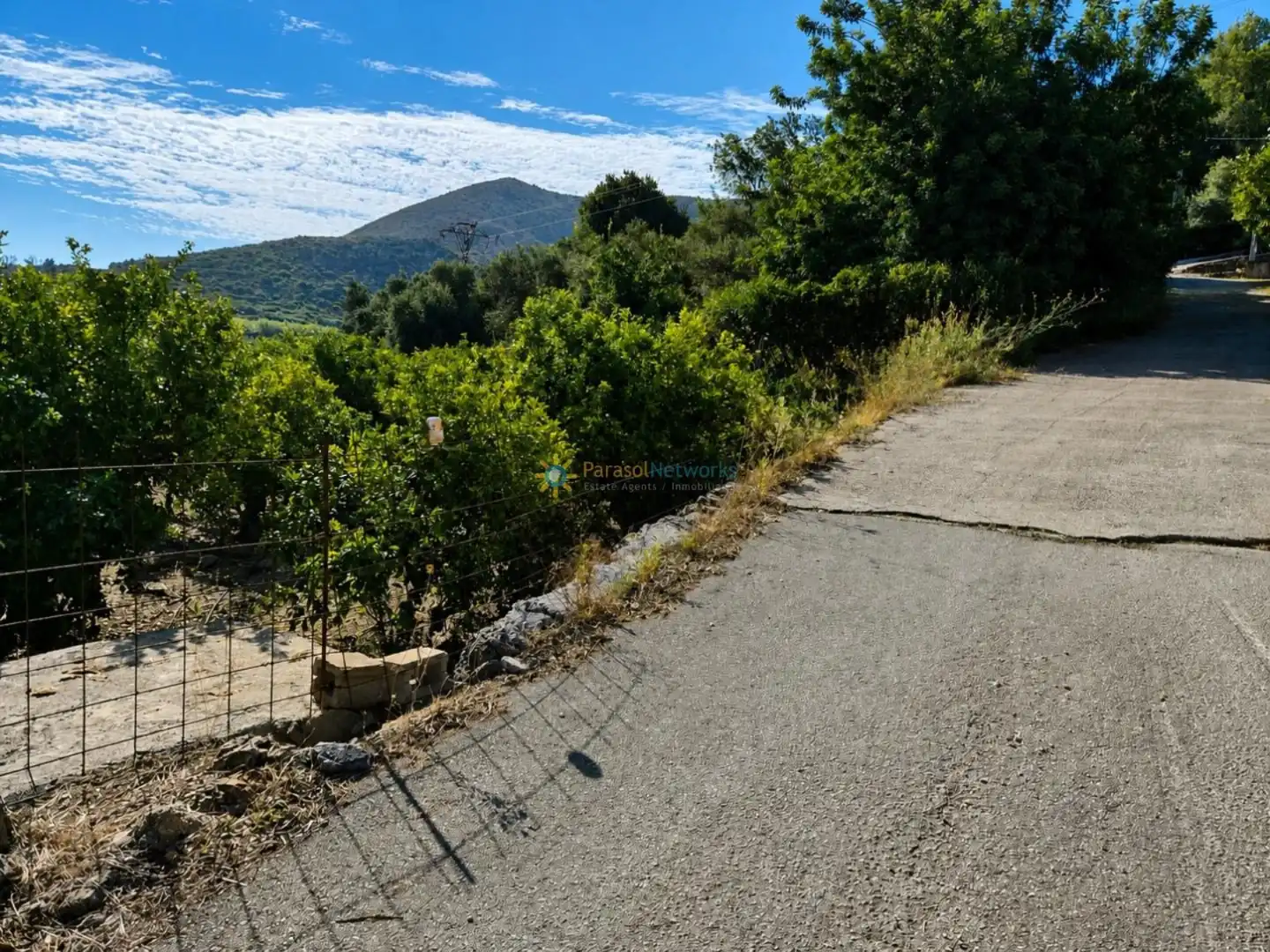 Rural land for sale in L'Atzúbia, imagen 5
