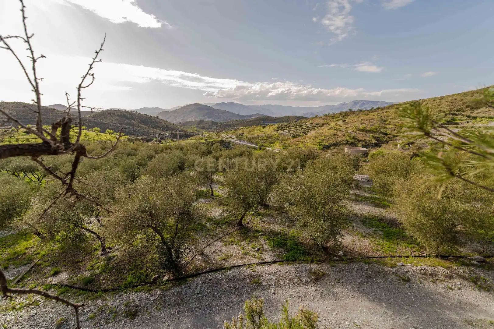 Maison à vendre à 18670 Vélez de Benaudalla, Spain, imagen 62