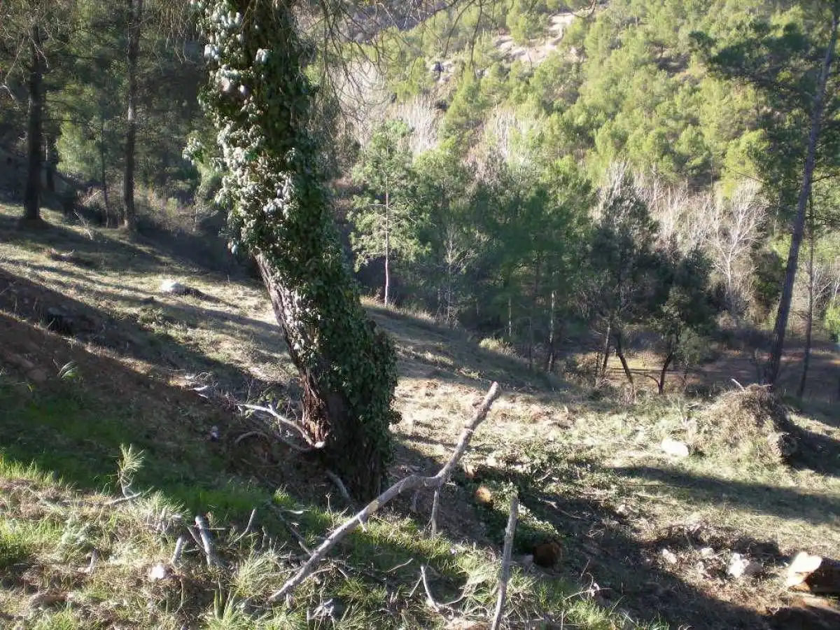Terrenys i solars en venda a Castellnou de Bages, imagen 2