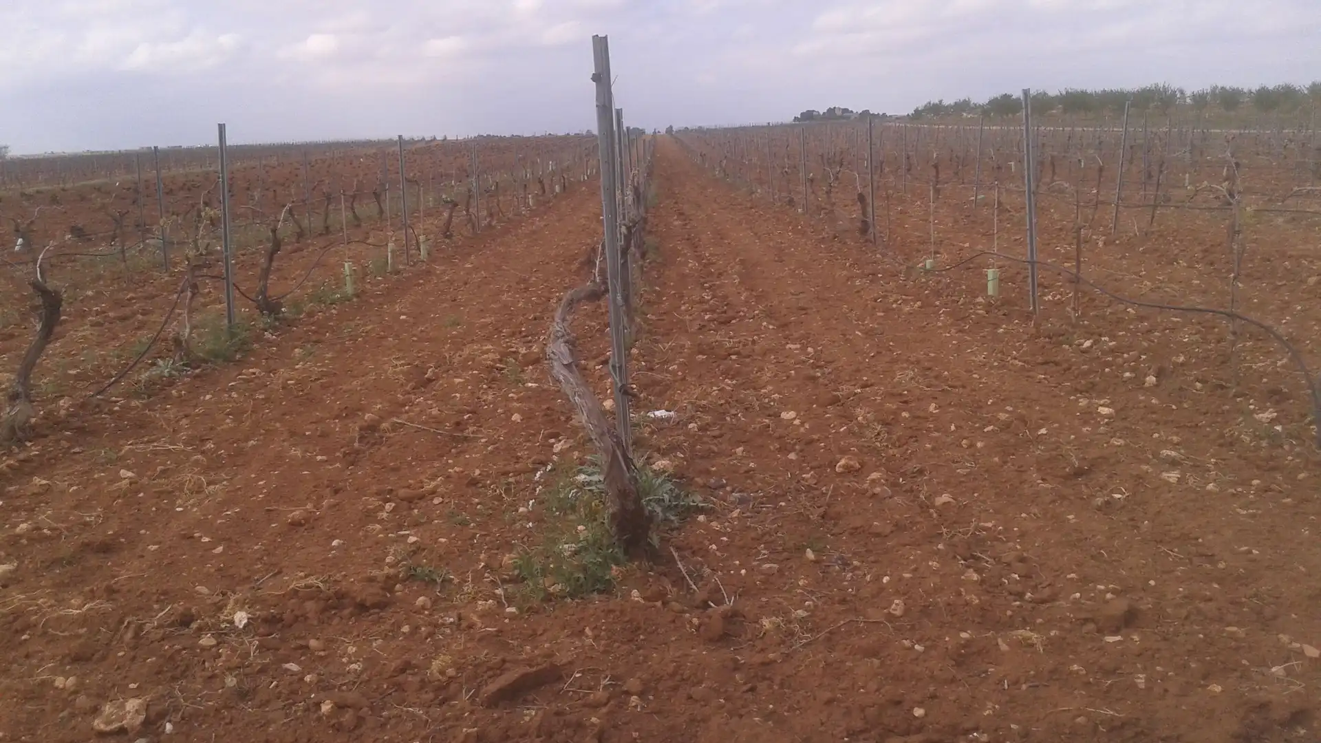 Terrenys i solars en venda a Las Mesas, imagen 5