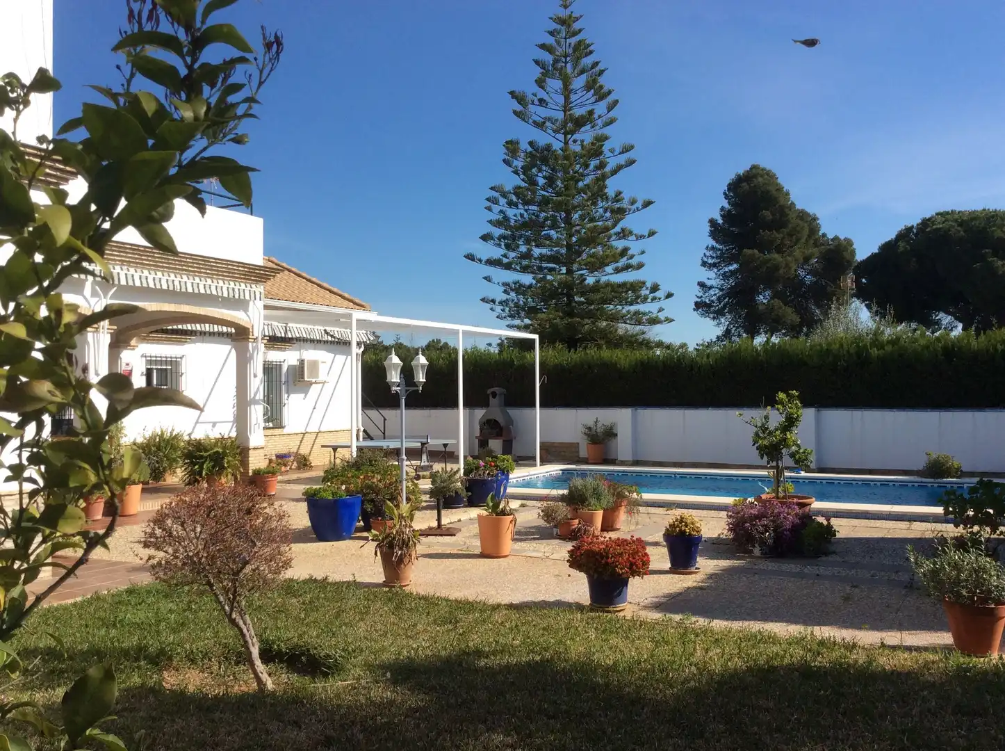 Jardí de Casa o xalet en venda en Espartinas amb Aire condicionat, Calefacció i Jardí privat