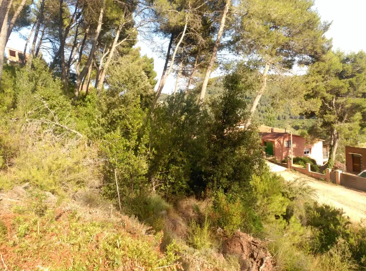 Terreni e lotti in vendita a Corbera de Llobregat, imagen 23