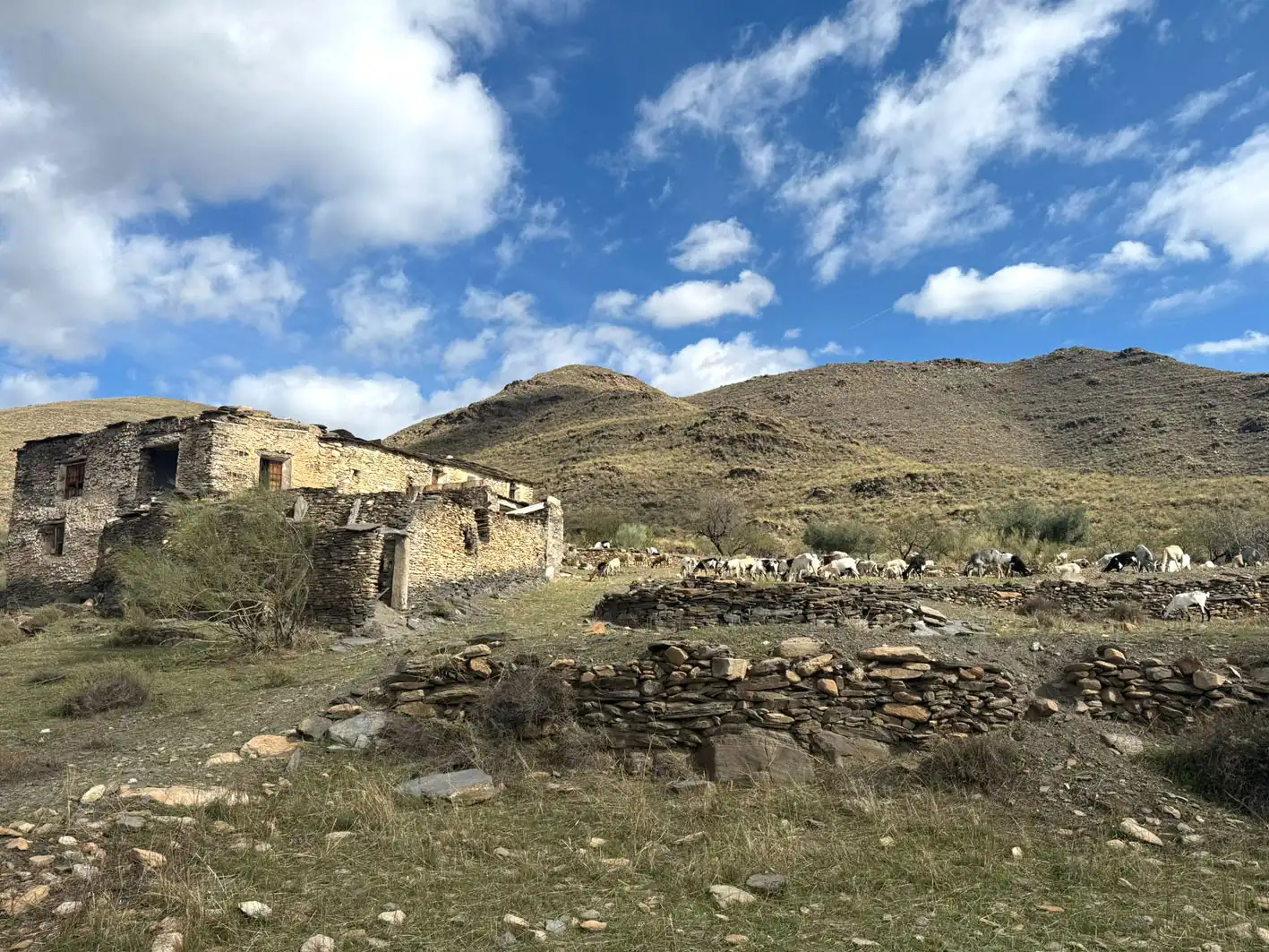 Vista exterior de Terreno en venta en Senés