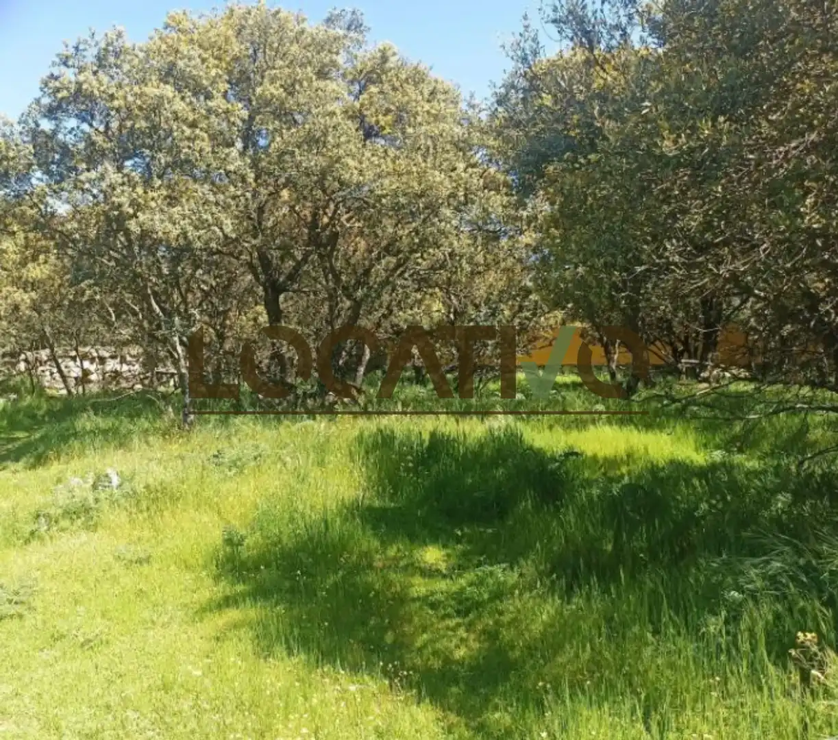 Terrenys i solars en venda a Las Zorreras - Monte Encinar, imagen 3