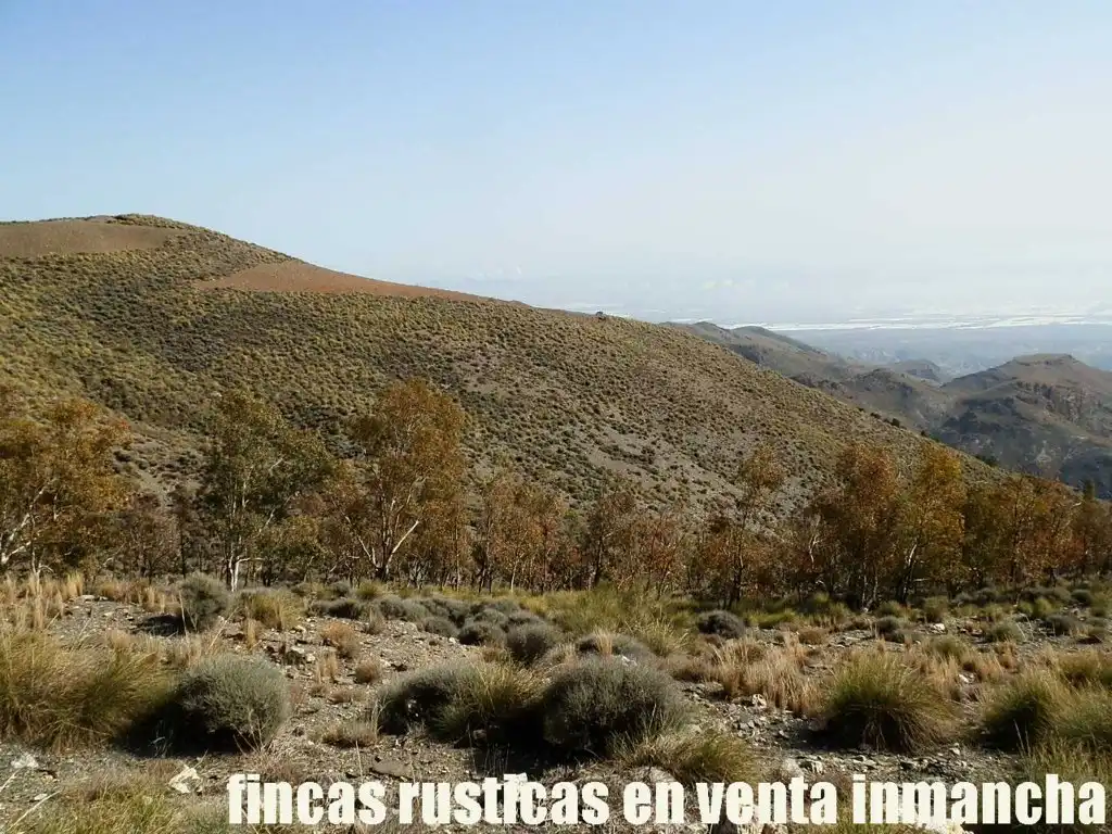 Terreny rústic en venda a Pechina, imagen 25