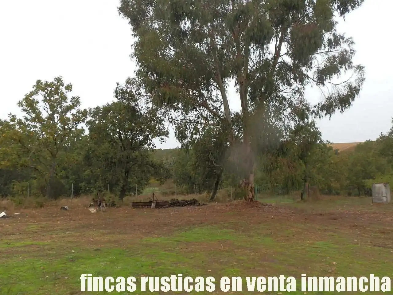 Land for sale in Abenójar