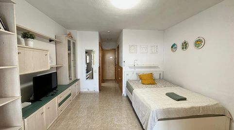 Photo 3 of Study for sale in Avenida Gamonal, Parque de la Paloma, Benalmádena