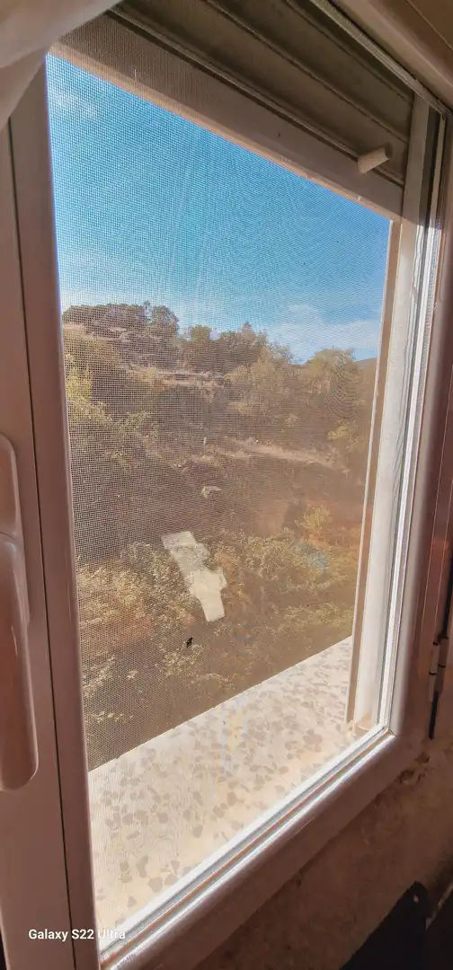 Jardín de Local en venta en El Tiemblo 