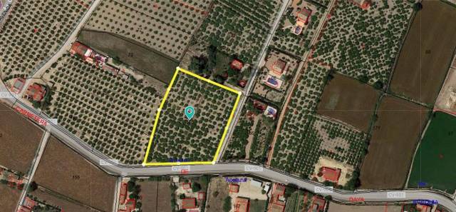 Terreno residencial en Venta en Daya Nueva
