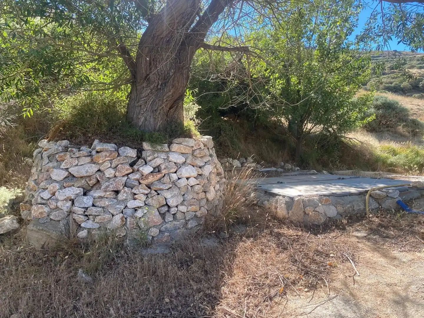 Rural land for sale in Nigüelas, imagen 25