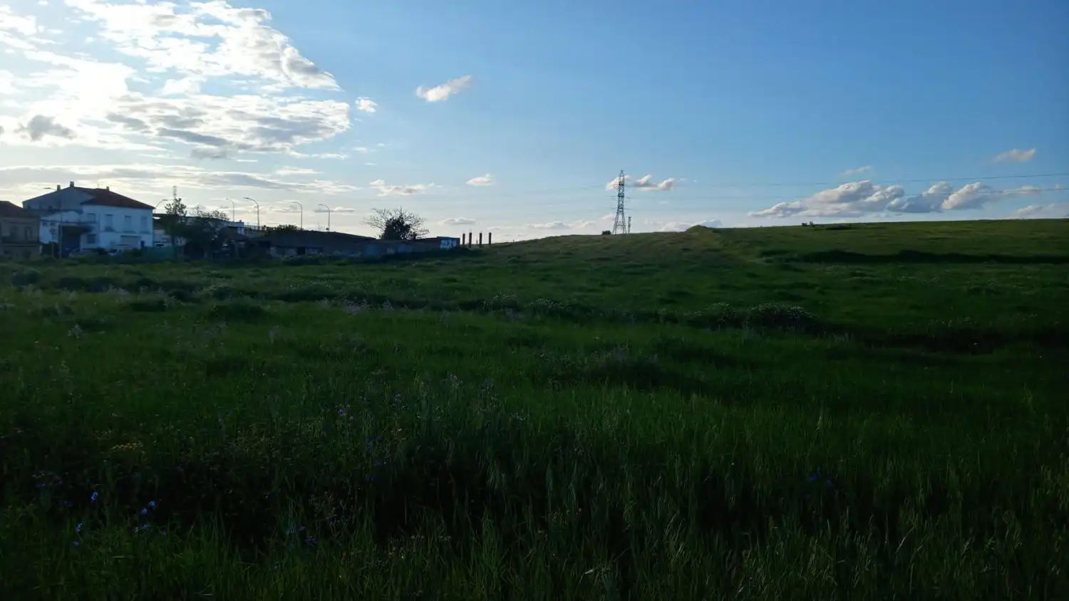Finca rústica en venta en Sur