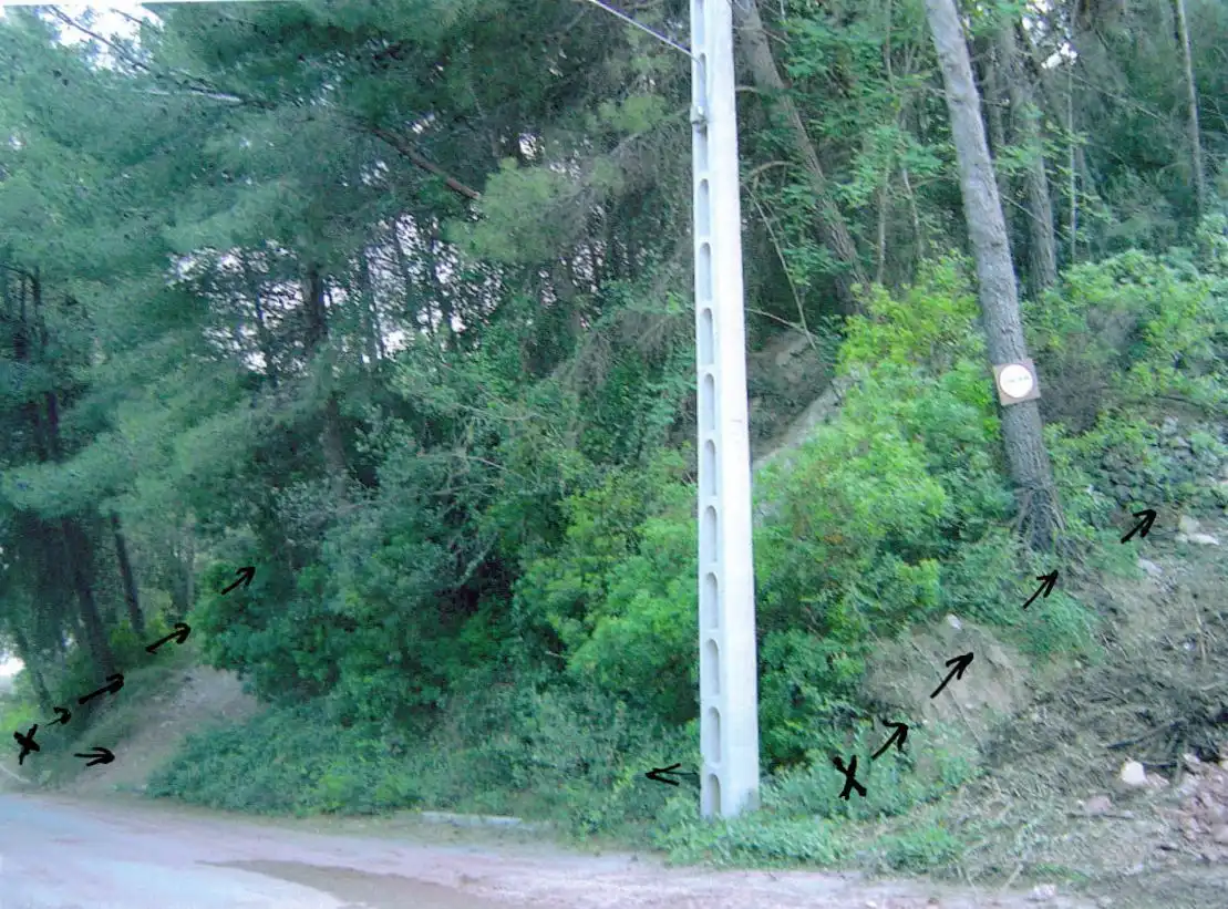 Lands and plots for sale in Vallirana, imagen 11