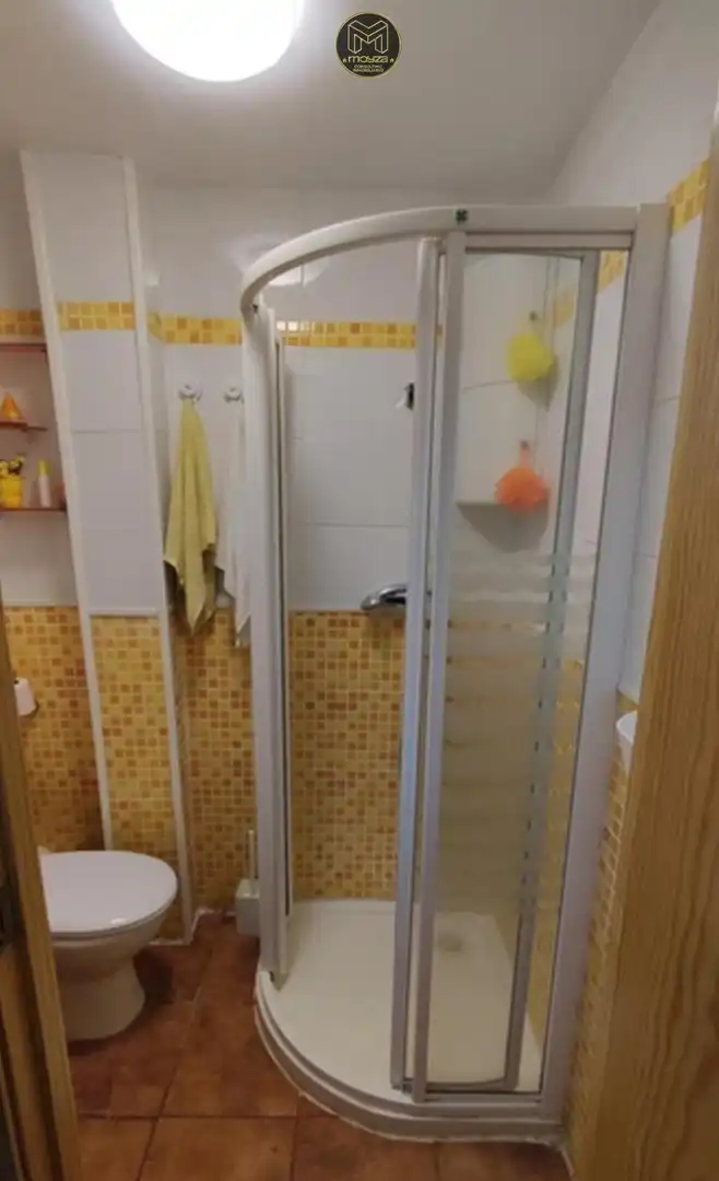 Bany de Casa o xalet en venda en Linares amb Terrassa