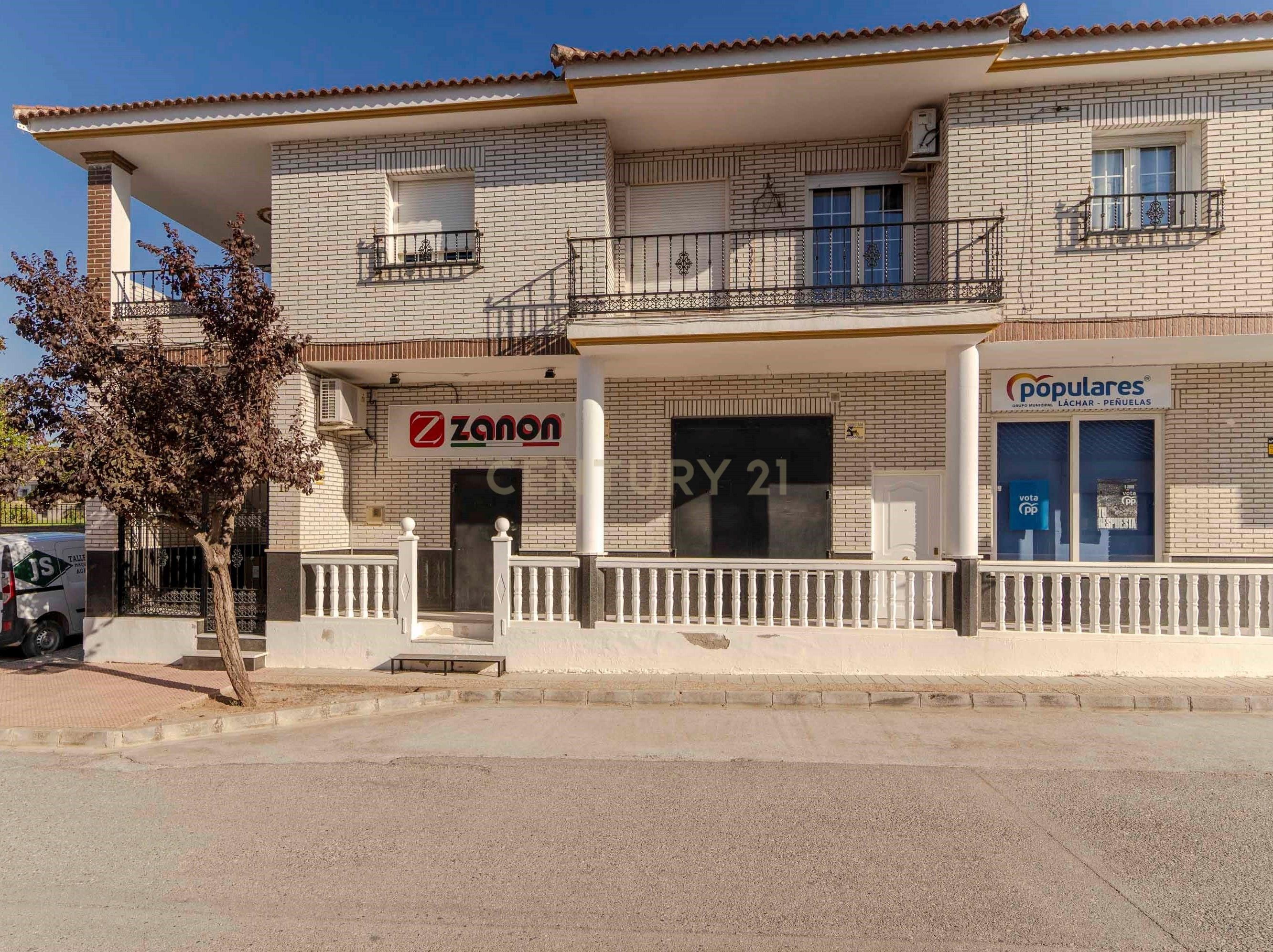 Vista exterior de Casa o chalet en venta en Láchar con Aire acondicionado