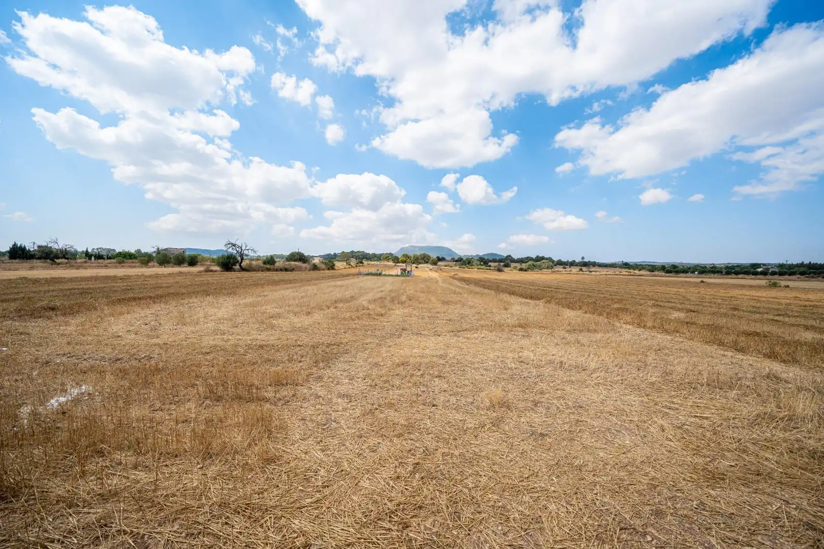 Finca rústica en venda en Algaida amb Jardí privat, Terrassa i Alarma