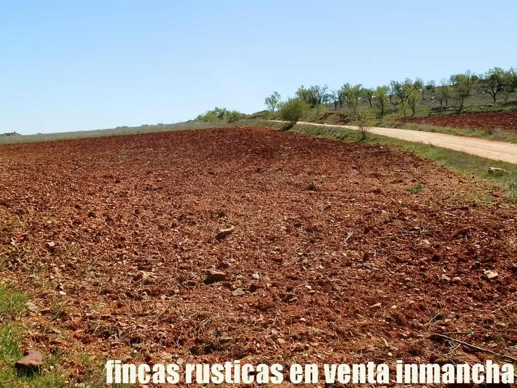 Rural land for sale in Valdepeñas, imagen 20