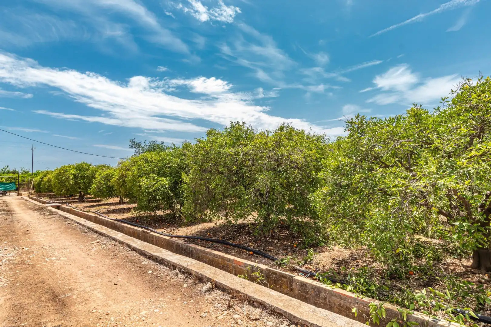 Rural land for sale in Polígono Polígono 4 Paraje 109 MADRIGAL 917, imagen 9