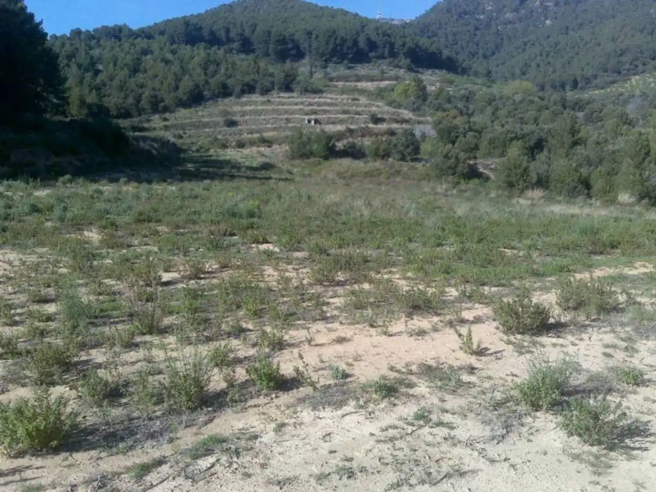 Residencial en venda en Vilaplana