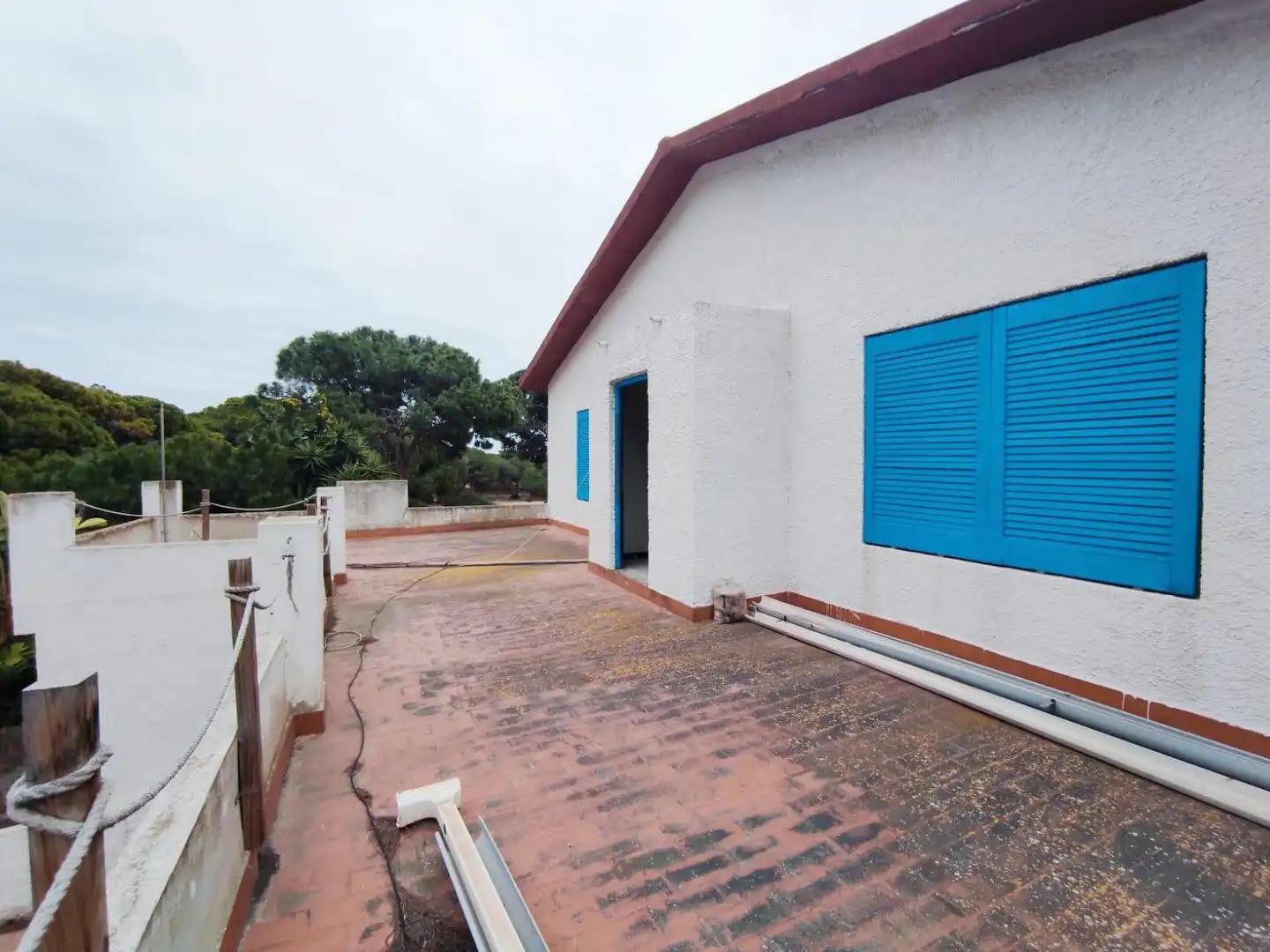 Vista exterior de Casa o xalet en venda en Elche / Elx amb Terrassa