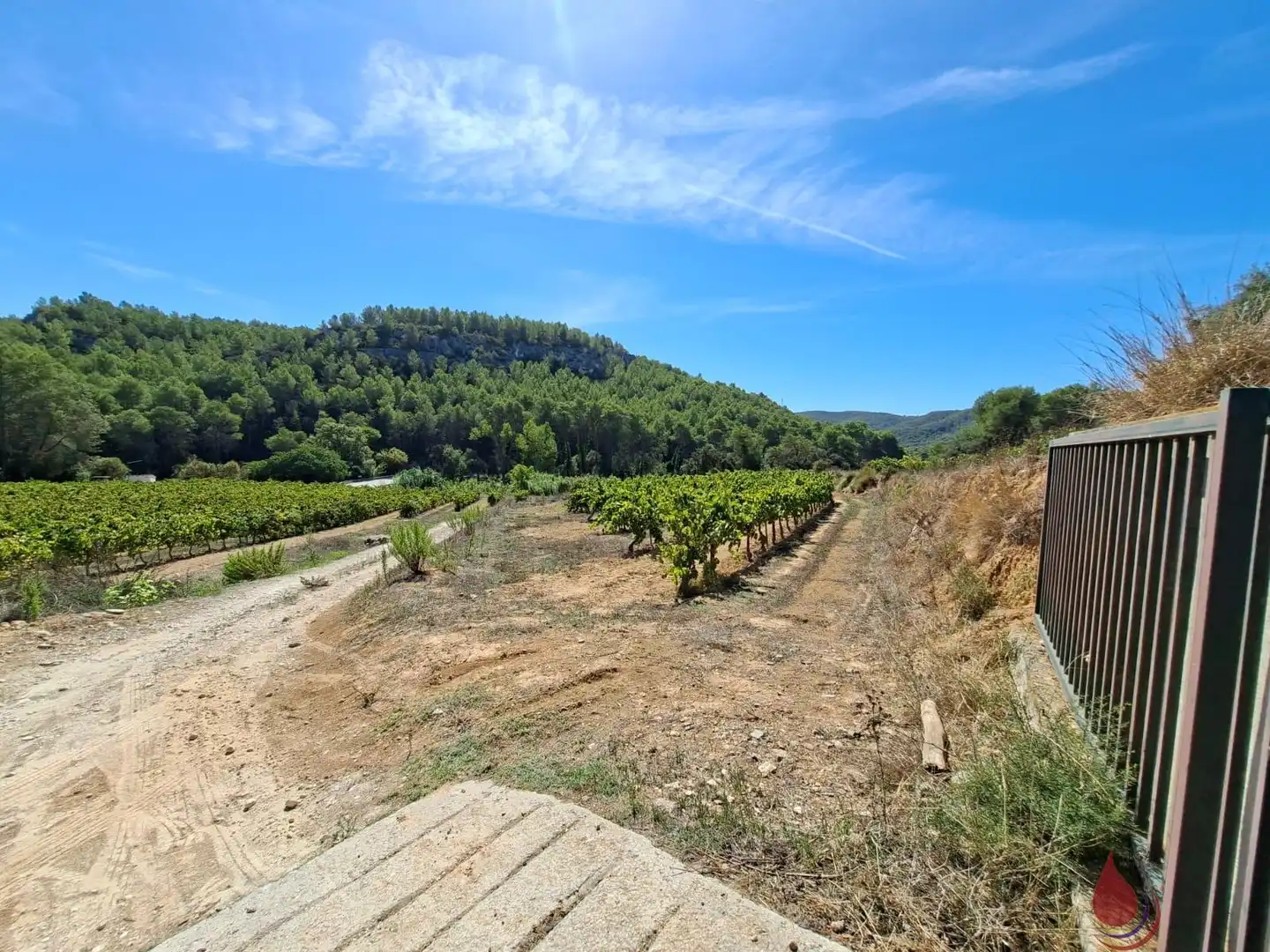 Terreni e lotti in vendita a Castellet i la Gornal, imagen 38