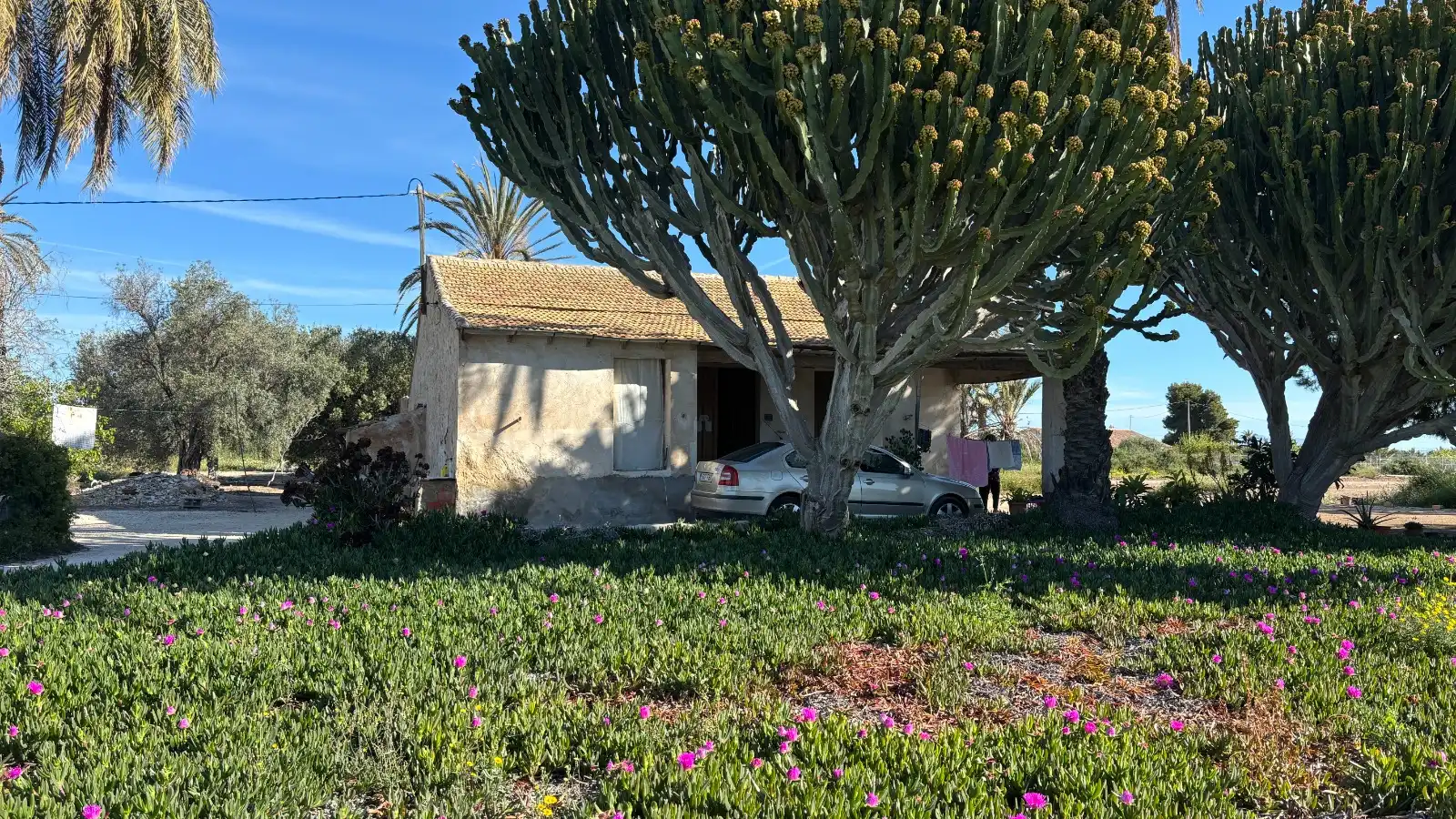 Jardí de Casa o xalet en venda en Elche / Elx