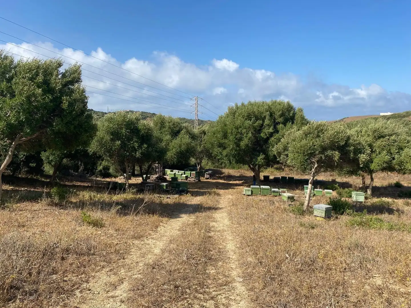 Casa rústica en venda a Tarifa ciudad, imagen 16