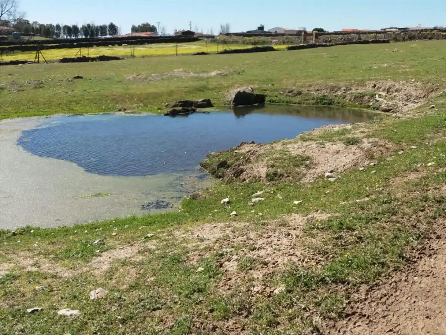 Terreno en venta en Serradilla
