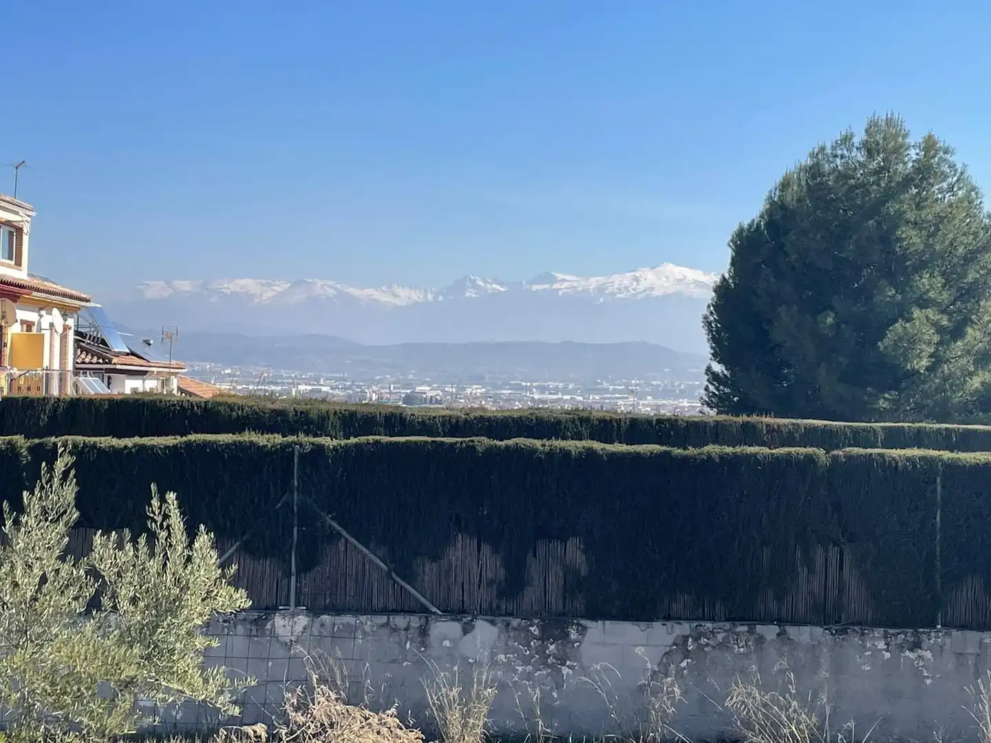 Terrenos y solares en venta en Centro de Albolote, imagen 14
