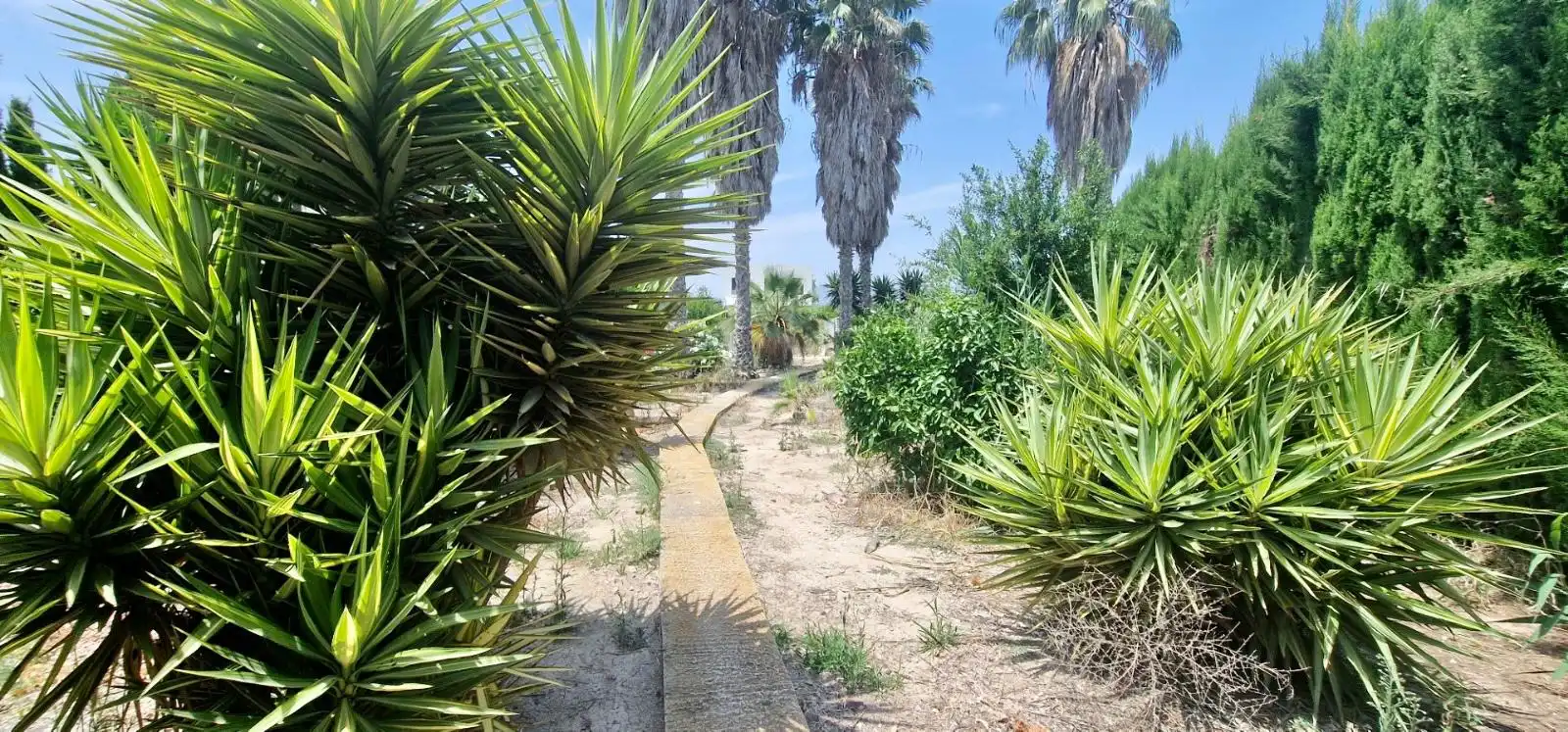 Houses for sale in Catral  with Private garden, Terrace and Swimming Pool